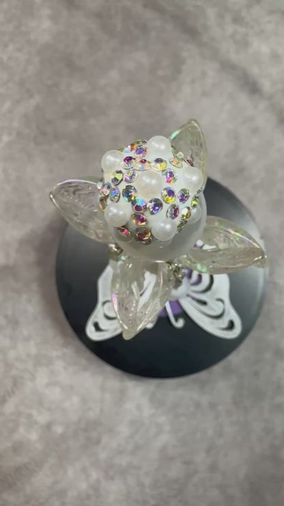 Butterfly Square